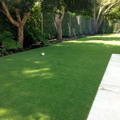 Fake Grass Carpet Cambria, California Backyard Playground
