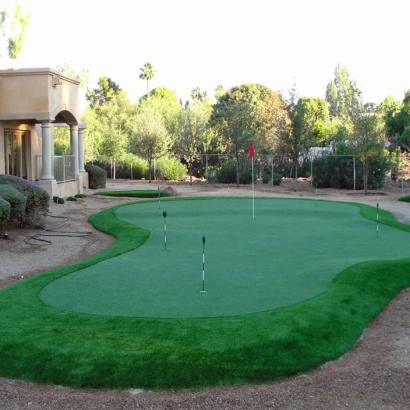 Fake Grass Lower Lake, California Lawn And Landscape, Backyard Designs