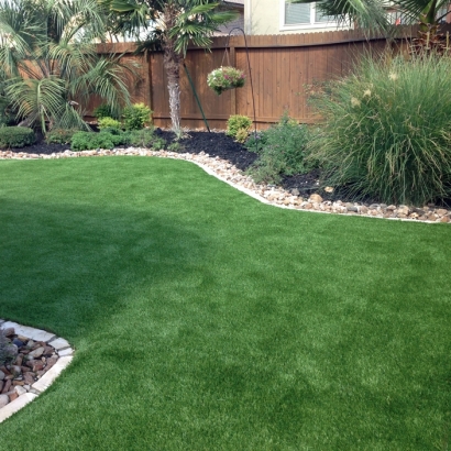 Fake Lawn Carmel-by-the-Sea, California City Landscape, Backyard Landscape Ideas