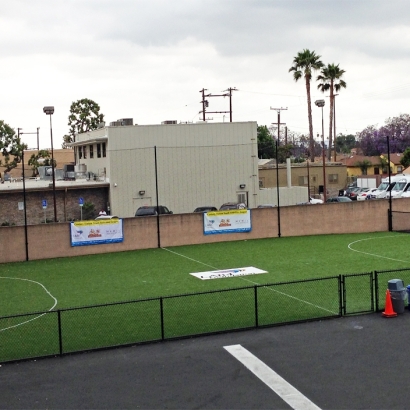 Fake Lawn Concord, California Sports Athority, Commercial Landscape