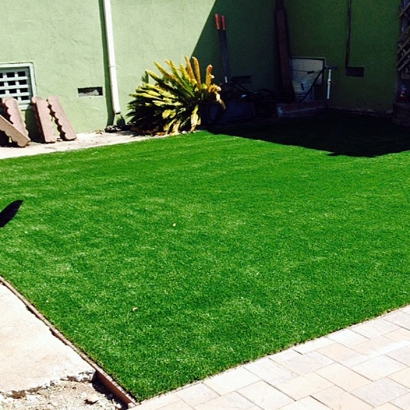 Fake Lawn Forest Meadows, California Lawn And Garden, Backyard Landscaping Ideas