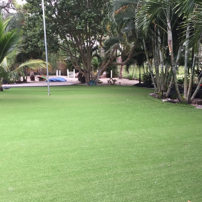 Fake Lawn Granite Bay, California Landscape Ideas, Commercial Landscape