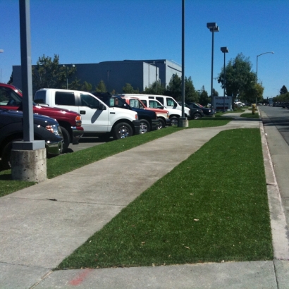 Fake Turf Crockett, California Landscaping, Commercial Landscape