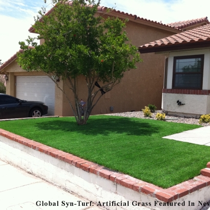 Fake Turf East Richmond Heights, California Lawns, Front Yard Ideas