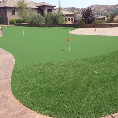 Fake Turf Elkhorn, California Indoor Putting Green