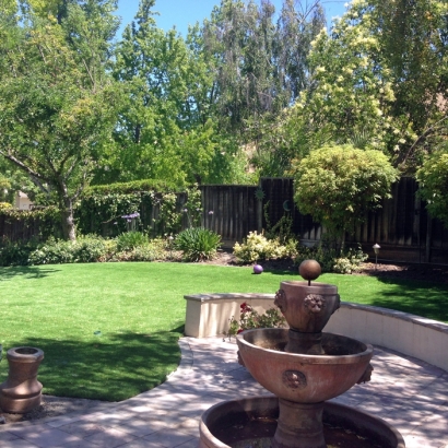 Fake Turf North Fair Oaks, California Landscape Ideas, Backyard Landscape Ideas