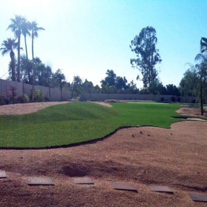 Fake Turf Opal Cliffs, California Best Indoor Putting Green, Backyard Designs