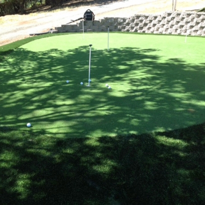 Fake Turf Tamalpais-Homestead Valley, California Putting Green Turf, Backyard Landscaping