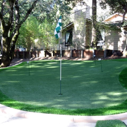 Faux Grass Auburn, California Putting Greens, Backyard