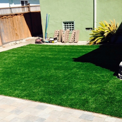 Faux Grass North Lakeport, California Gardeners, Backyard Garden Ideas