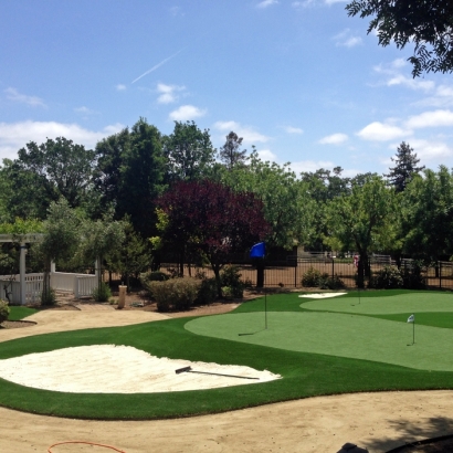 Grass Carpet Buena Vista, California Landscape Design, Front Yard Ideas