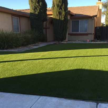 Grass Carpet Elverta, California Garden Ideas, Landscaping Ideas For Front Yard