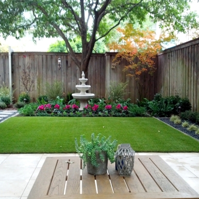 Grass Carpet Pacheco, California Landscape Design, Backyard Landscaping