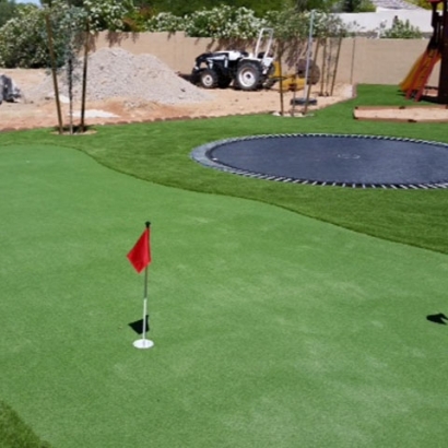 Grass Carpet Shingle Springs, California Outdoor Putting Green, Backyard Landscaping Ideas