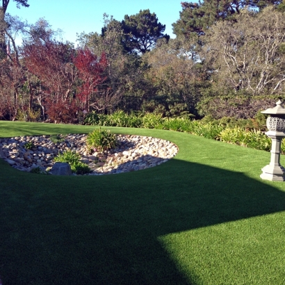 Grass Installation Broadmoor, California Roof Top, Backyard Landscaping