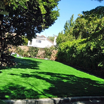 Grass Installation San Rafael, California Landscape Photos, Backyard Landscape Ideas