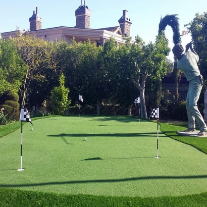 Grass Turf Camino, California How To Build A Putting Green, Small Backyard Ideas