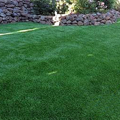 Grass Turf Livingston, California Fake Grass For Dogs, Backyard Design