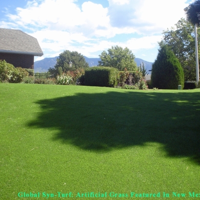 Grass Turf Orinda, California Rooftop, Beautiful Backyards