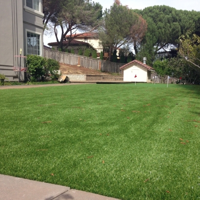 Grass Turf San Joaquin, California Backyard Playground, Backyard Designs