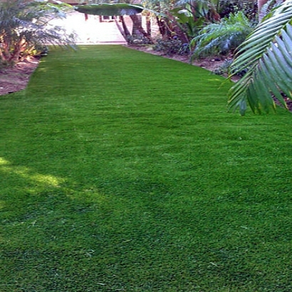 Green Lawn Hartley, California Roof Top, Backyards