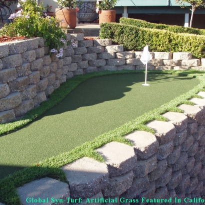 Lawn Services Albany, California Roof Top, Backyards
