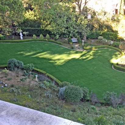 Outdoor Carpet Antelope, California Artificial Grass For Dogs, Beautiful Backyards