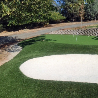 Outdoor Carpet Millbrae, California Putting Green, Small Front Yard Landscaping