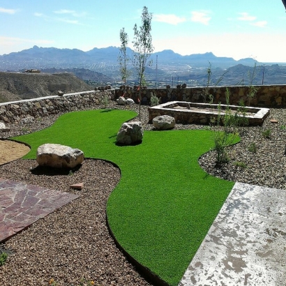 Outdoor Carpet Roseville, California City Landscape, Backyard Landscaping Ideas