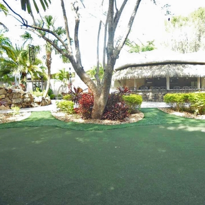 Plastic Grass Inverness, California Office Putting Green, Commercial Landscape