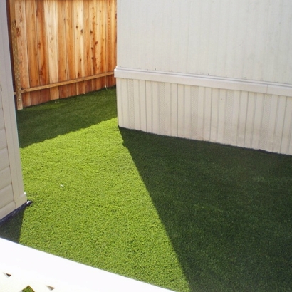 Plastic Grass Monte Sereno, California Artificial Grass For Dogs, Backyard Landscaping Ideas