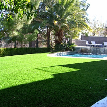Plastic Grass Rancho Calaveras, California Landscape Ideas, Swimming Pools