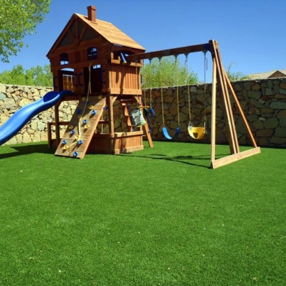 Synthetic Grass Cost Salinas, California Lawns, Backyard