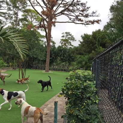 Synthetic Grass Kennedy, California Pet Paradise, Commercial Landscape