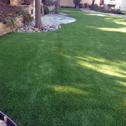 Synthetic Grass San Lorenzo, California Cat Grass, Backyards