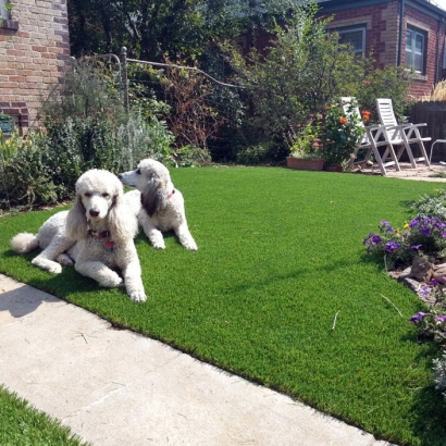 Synthetic Grass Templeton, California Backyard Playground, Front Yard Landscaping Ideas