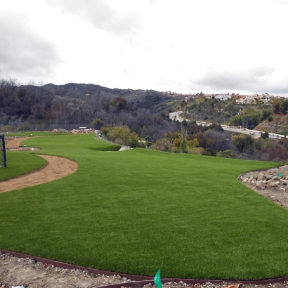 Synthetic Lawn Gold River, California Eco Friendly Products