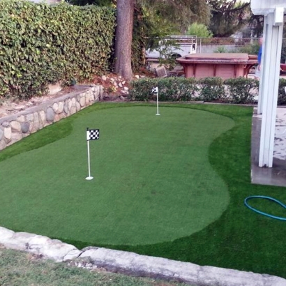 Synthetic Lawn Kings Beach, California Artificial Putting Greens, Backyard Designs