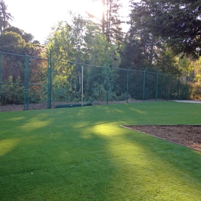 Synthetic Lawn Menlo Park, California Landscaping, Parks