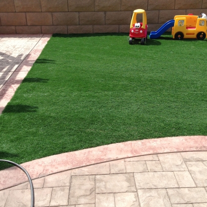 Synthetic Lawn San Andreas, California Landscape Ideas, Pavers