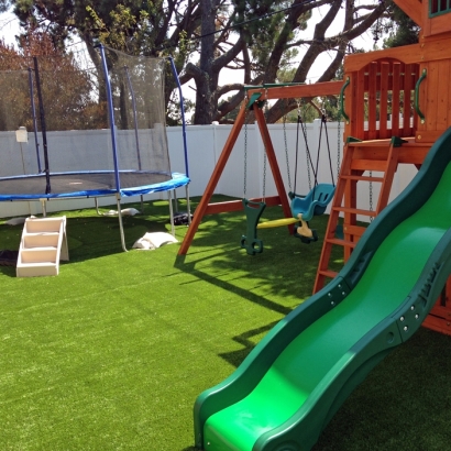 Synthetic Lawn Sonora, California Home And Garden, Backyard Designs