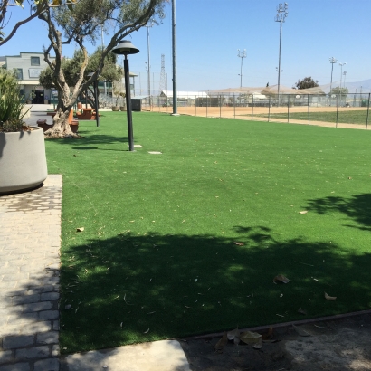 Synthetic Lawn Williams, California Paver Patio, Recreational Areas