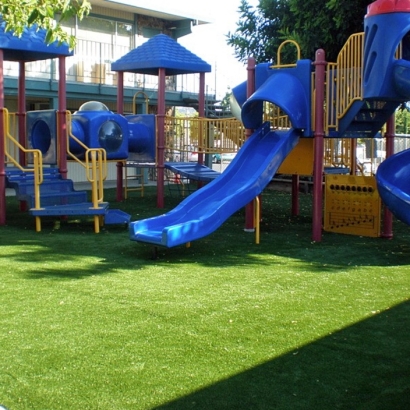 Synthetic Turf Ben Lomond, California Landscaping Business, Commercial Landscape