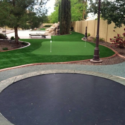 Synthetic Turf Parkway, California Home Putting Green, Backyard Garden Ideas