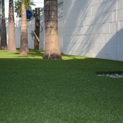 Synthetic Turf Seaside, California Backyard Deck Ideas, Commercial Landscape