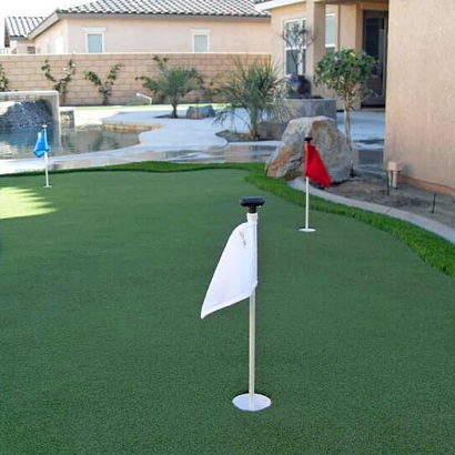 Synthetic Turf Supplier Guerneville, California Lawn And Landscape, Backyard Designs
