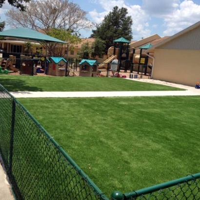 Synthetic Turf Supplier Mountain House, California Lawns, Commercial Landscape