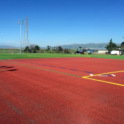 Synthetic Turf Supplier Vineyard, California Red Turf