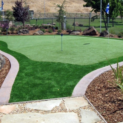 Synthetic Turf Winton, California Best Indoor Putting Green, Backyard Landscaping