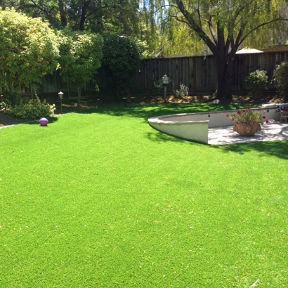 Synthetic Turf Woodside, California Landscaping, Beautiful Backyards